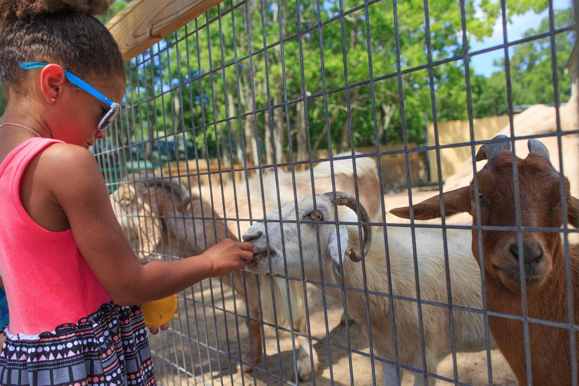 Phoenix Gulf Shores Unit 1702 部屋 写真